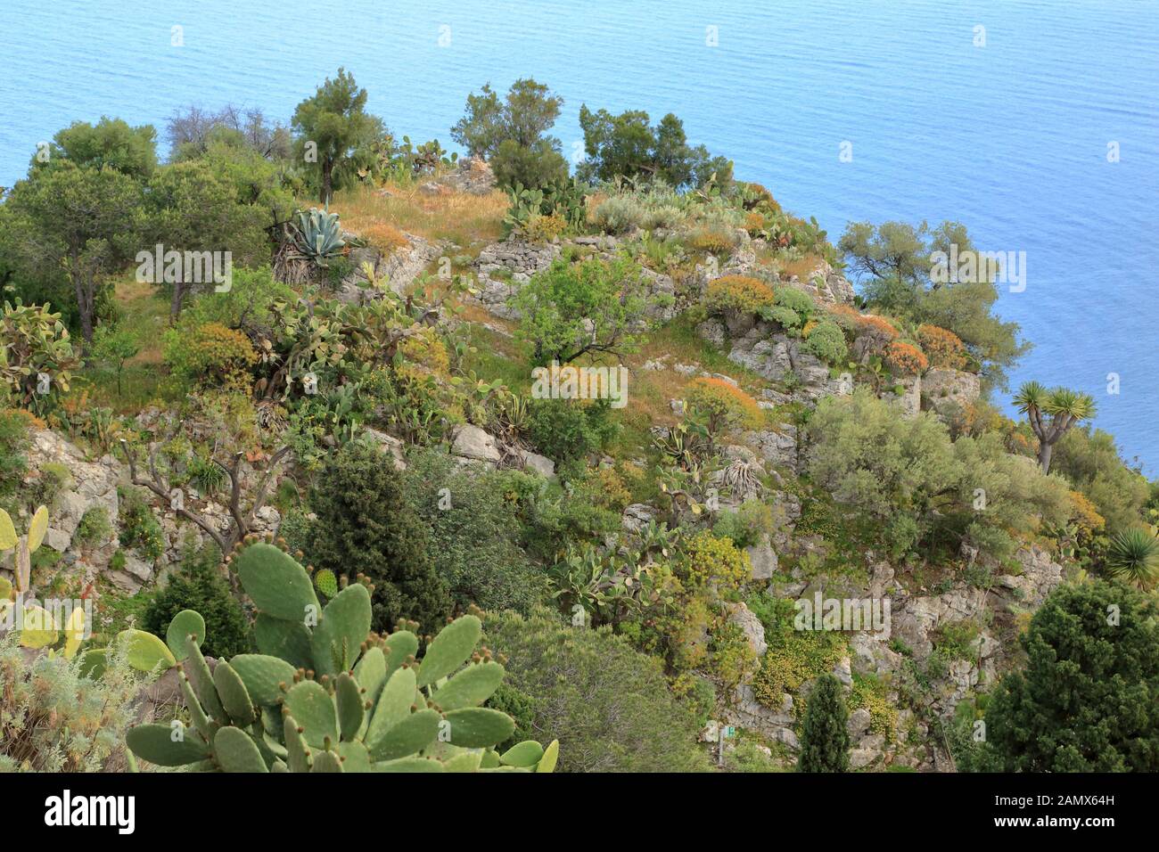 Ecosistema de vegetación de una costa rocosa. Paisaje costero de plantas naturales, mar mediterráneo. Foto de stock
