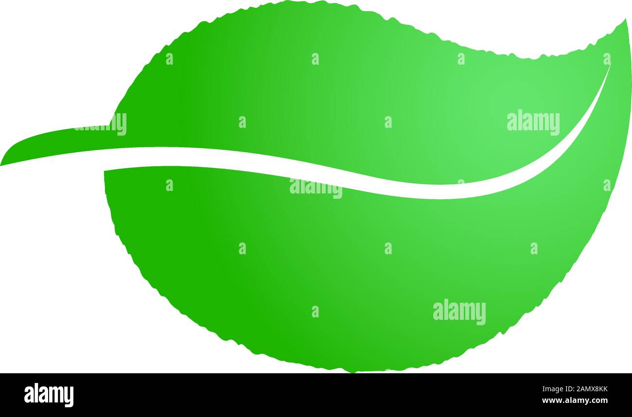 Icono ecológico de hoja verde. Ecología símbolo de naturaleza vector plantilla de ilustración aislada Ilustración del Vector