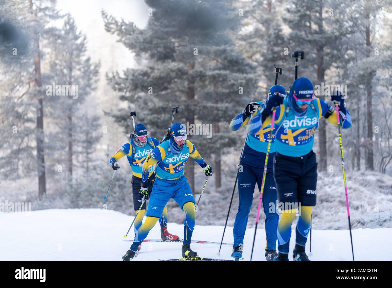 Biatletas Suecos Entrenamiento En Invierno En Idre Fjäll Foto de stock
