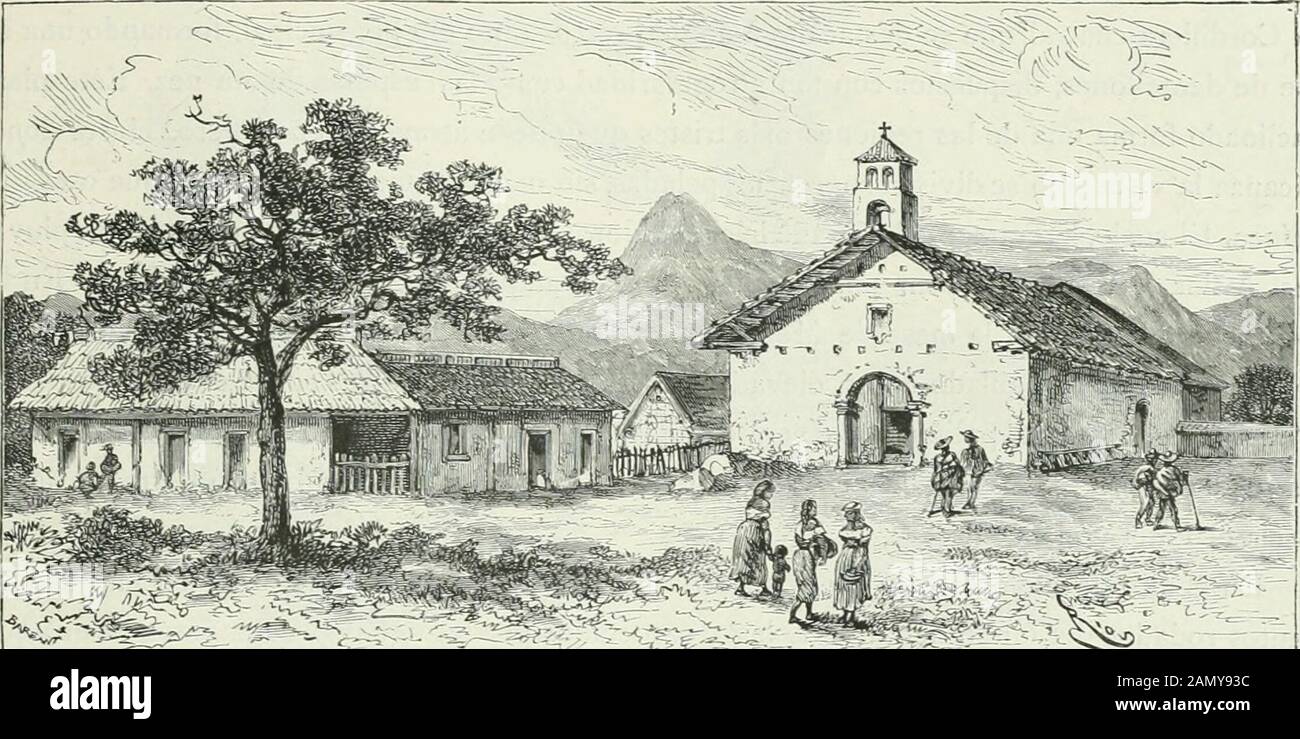 América pintoresca; descripcion de viajes al nuevo continente por los mas modernos exploradores . bolos, y hasta las fibras del caratas (Bronielia Caratas). No habia visto nada semejante; ante este especial se compra los alimentos que se lancen de los cultivos á LA AMÉRICA EQUINOCCIAL 745 nos la terrible plaga de la Langosta (í). Al pasar junto á la empalizada de un ex platanar delcual no quedaban más que poquísimos altos tronchados y sin una hoja, una pobre mujeren el umbral de su cabina me detuvo, y levantando los brazos al cielo, exclamó:—¡Ah,caballero, señel o Foto de stock