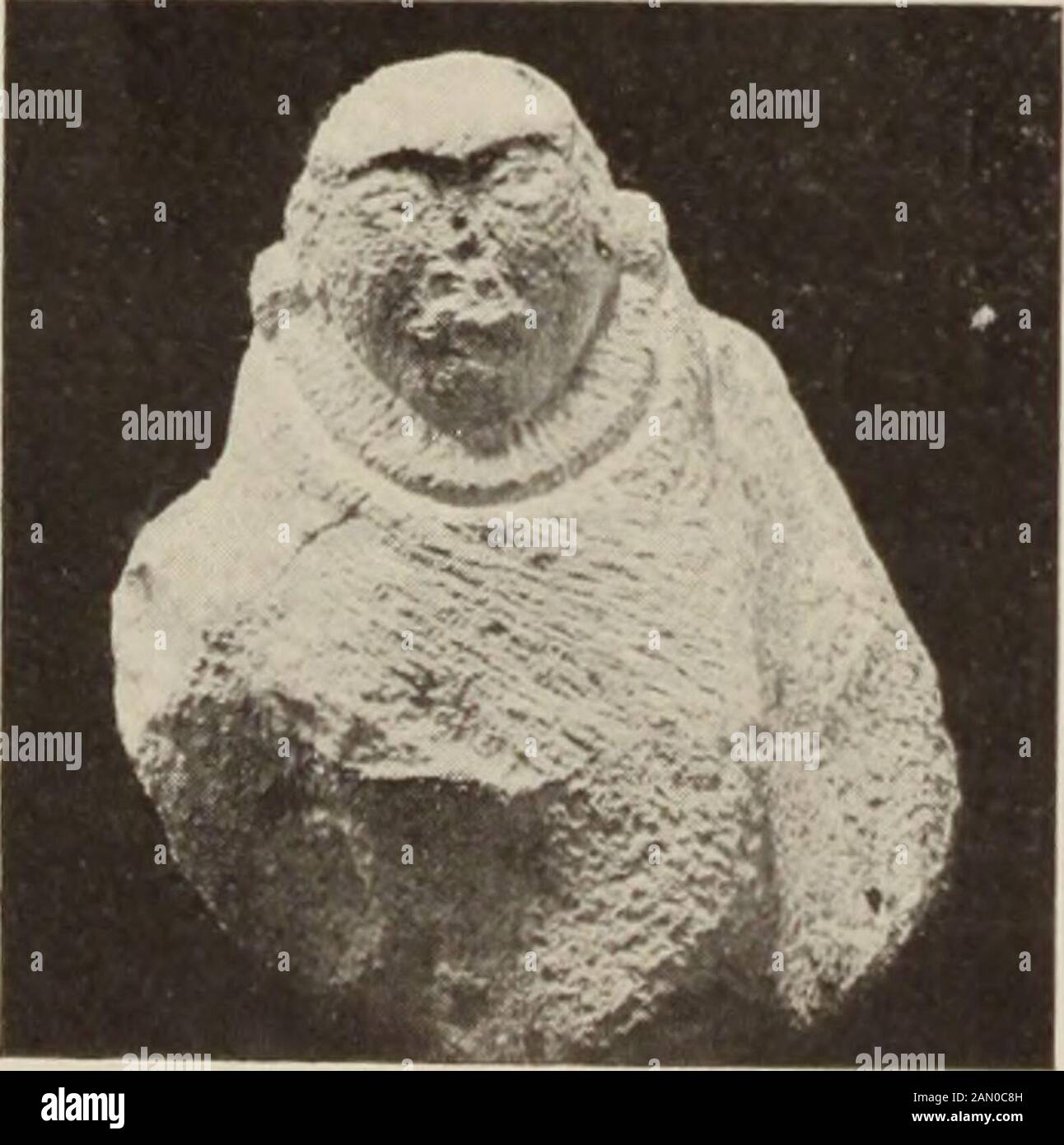 Memorias del Museo del Obispo Bernice Pauahi . FIG. 3. RETRATO STATUBTTB OS NIÑA. 11 no soy consciente de la interesante figura de piedra aln adydescribió y figuró en el ensayo sobre Im-plements de piedra hawaiana ( Mem., vol. I. 4, p. 95 , pero que, si no f foreignffabricación, era b retrata a un extranjero. Todo lo que se sabe de este busto curioso se da en el ensayo mencionado, pero las ilustraciones m ly birepeated aquí t mostrar el con-trast a trabajo nativo genuino. Foto de stock