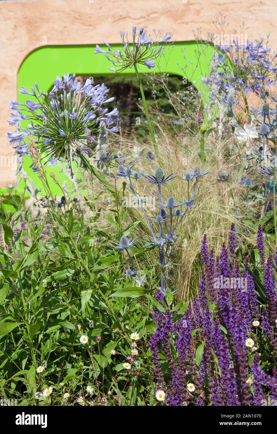 El jardín ECOVER POR MATTHEW CHILDS RHS Hampton Court Flower Show BEST IN SHOW y ganador de medalla de oro Foto de stock