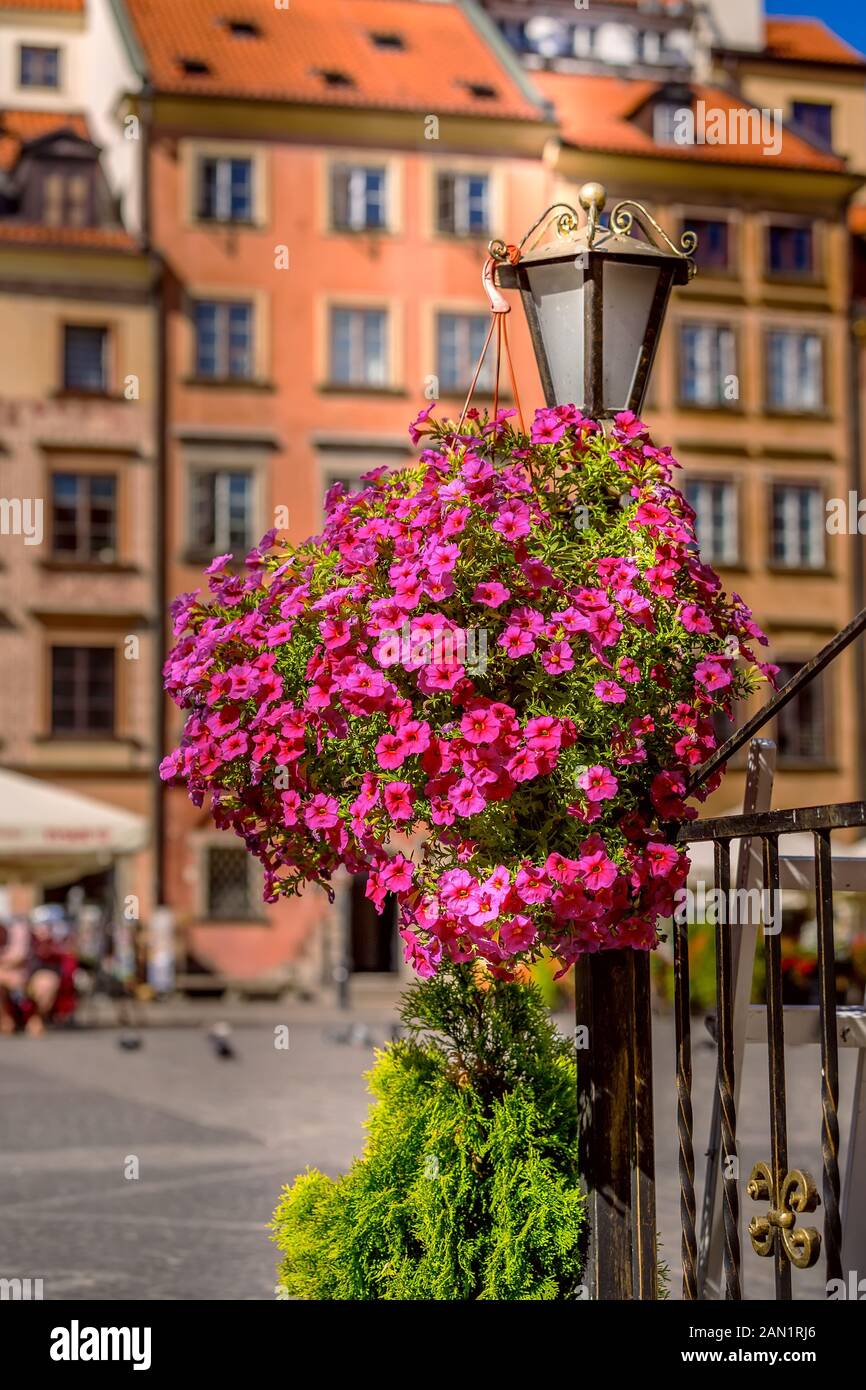 Varsovia, Polonia, flores coloridas casas en la plaza del mercado en el casco antiguo de la capital polaca Foto de stock