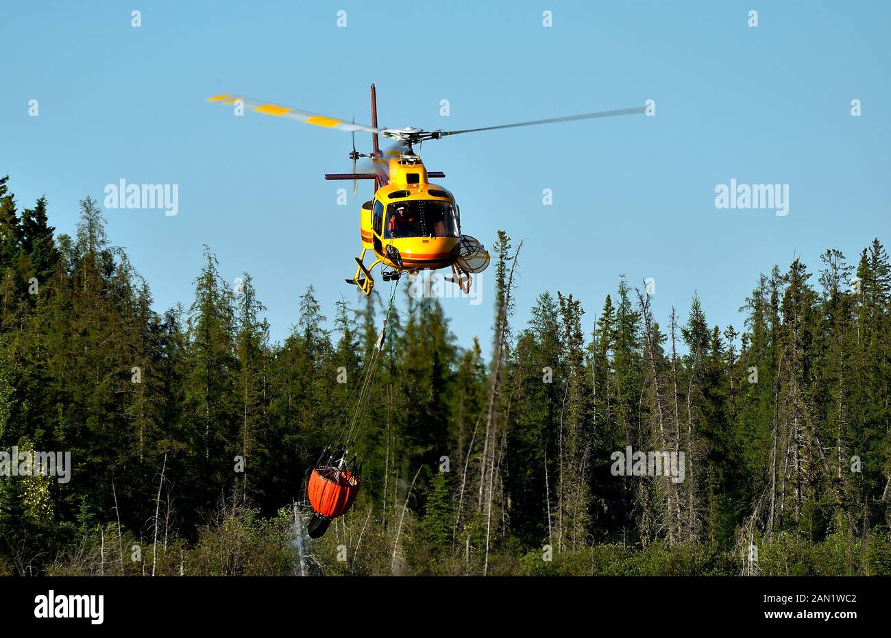 Un helicóptero con un cubo de agua recién llenado que se levanta de un lago remoto en la zona rural de Alberta y vuela para combatir un incendio forestal cercano Foto de stock