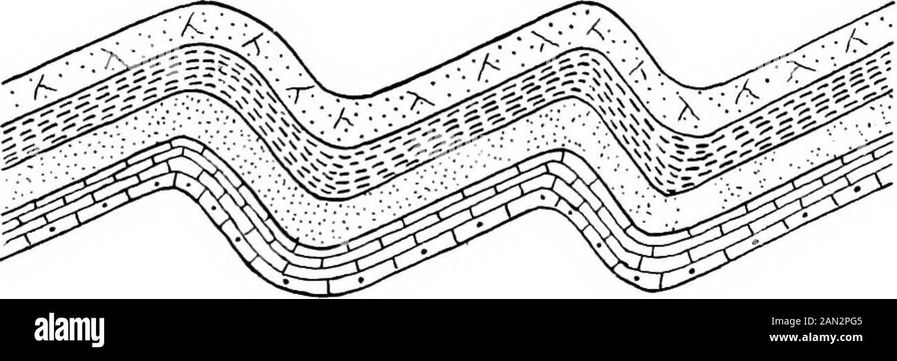 Mapas geológicos y topográficos, su interpretación y uso, un manual para el geólogo e ingeniero civil . Fig. 10.- Pliegues del Jura Tipo. De la estructura de los estratos que se aproximan a la curva armónica simple. (B) el cabeceo o plegado asimétrico (Fig. 11), en la que la caída de un miembro es considerablemente más empinada que la del otro. Fig. 11.—Pliegues De Enganche. (C) el plegado volteado o recostado (Fig. 12), en la que se observa la inversión real de los estratos en la extremidad superior, como resultado del movimiento hacia adelante dueto de presión lateral continua. En casos extremos, los pliegues doblados pueden ser transfo Foto de stock