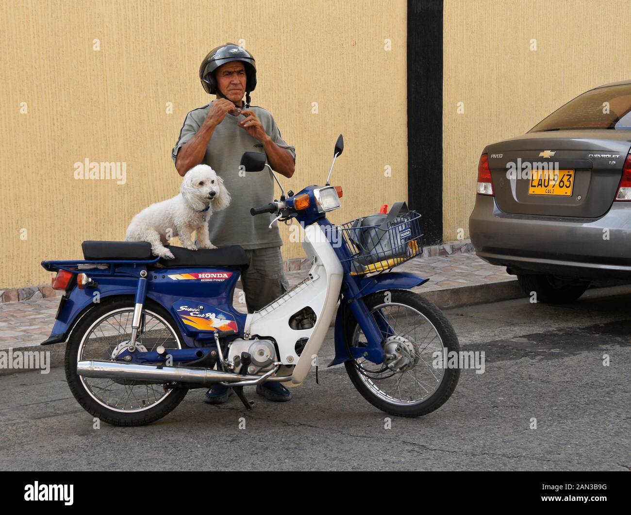 Hombre suitando para montar en la motocicleta Honda con un perro blanco, Guadalajara de Buga, Colombia Foto de stock