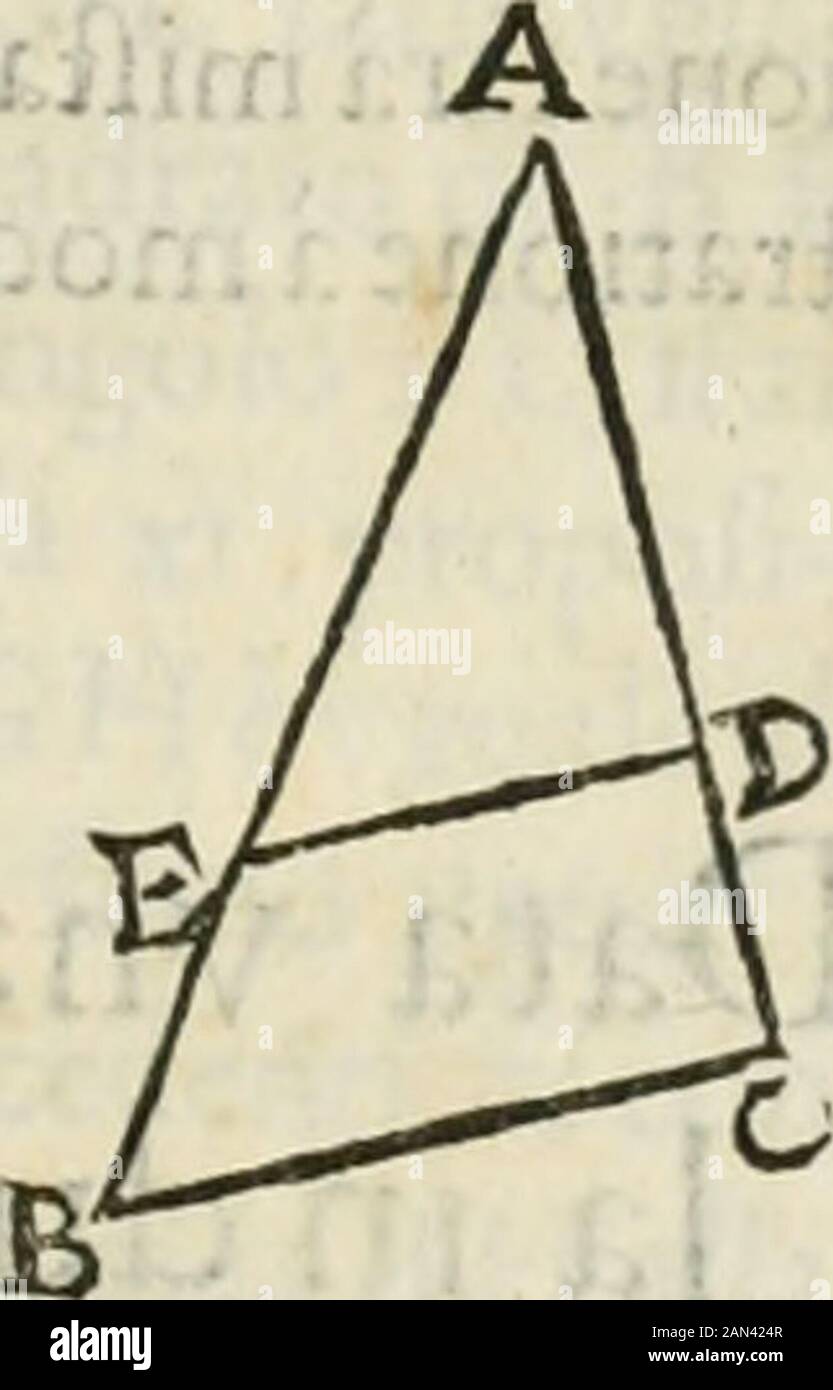 Modo del dividendo l'allvvioni da qvello di Bartolo, et de gli agrimensori diversoMostrato con ragioni matematiche & con pratica . : Venga i triangoli ABC, & A C D, & i paradiogrammi E C, & dal paralelogrammo E C al Bparalelogrammo C F. I I. I Che qualfiuoglia triangolò fegato convna linea equidiftante à qualuoglialato , che i Iati dei fegamento fiano proporcali . Ven che il triangolo ABC legato dalla li-nea D E equeidillante alla B C, la proportio-ne dell A E alla E B Ga, come dall A D alia D C :& quella è nota, eflendo la feconda propoita di-mollrata da Euclide nel fèllo libro. Del di Foto de stock