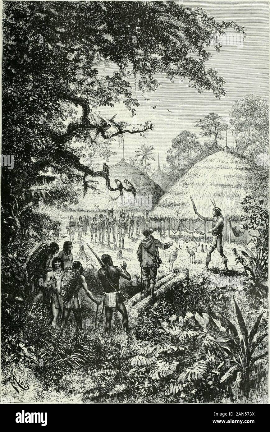 América pintoresca; descripcion de viajes al nuevo continente por los mas modernos exploradores . ero noes así. En el pais de los rucuyos, el hombre es el que se acuesta mientras la mujer se pasea.Mi colega Panakiki repite en mi presencia la orden que habia dado ya á su cliente, esto es, que esté acostado anu luna, y que no coma pescado ni caza muerta á flechazos, cazabe y pececillos contentándosecon cogidos con anu planta narcótica llamada nicii: si infringe esta orden,,su hijo morirá ó será contrahecho. Inmediatamente después del parto, la mujer toma un baño de vapor del modo siguiente:se ate Foto de stock