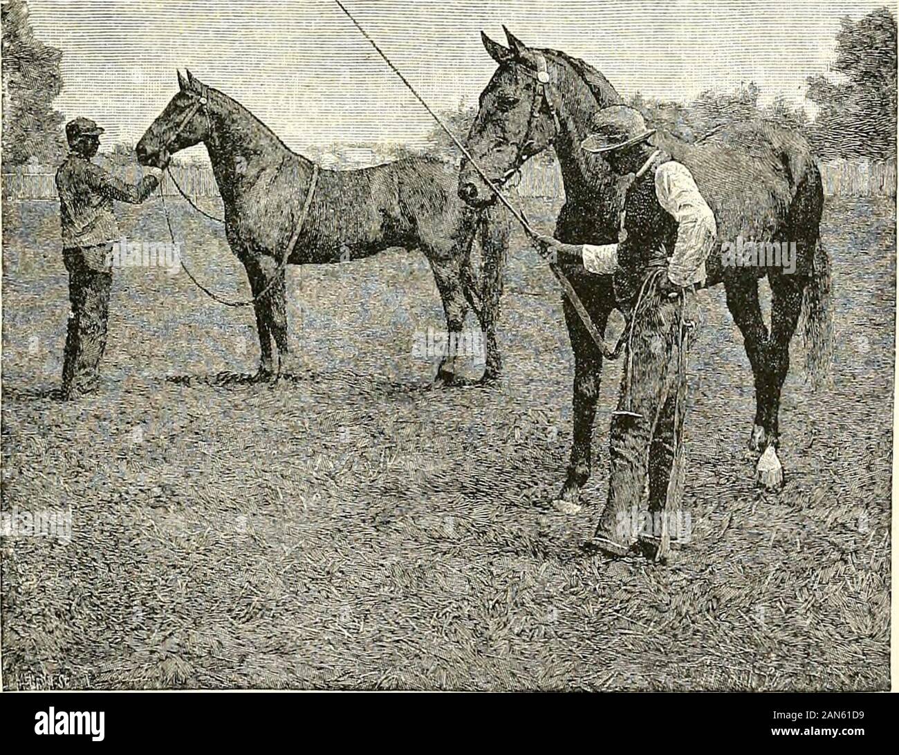 La región de pasto azul de Kentucky : y otros artículos de Kentucky . n theshaded greensward. Sería demasiado saythat la desaparición de éste atestigua theloss de virtud que la graciosa usos de aformer tiempo hizo un sinónimo. La explicación lieselsewhere. Bajo el antiguo régimen social commonappurtenance a cada householdwas bien establecido una fuerza entrenados de negro siervos. Se theservices de esas que hizo el ejercicio de gener organizativas entretenimiento público posible la Kentuckyhousewife. Además, el derroche de los ideales de la timethrew sobre economía el oprobio de la mezquindad. Foto de stock