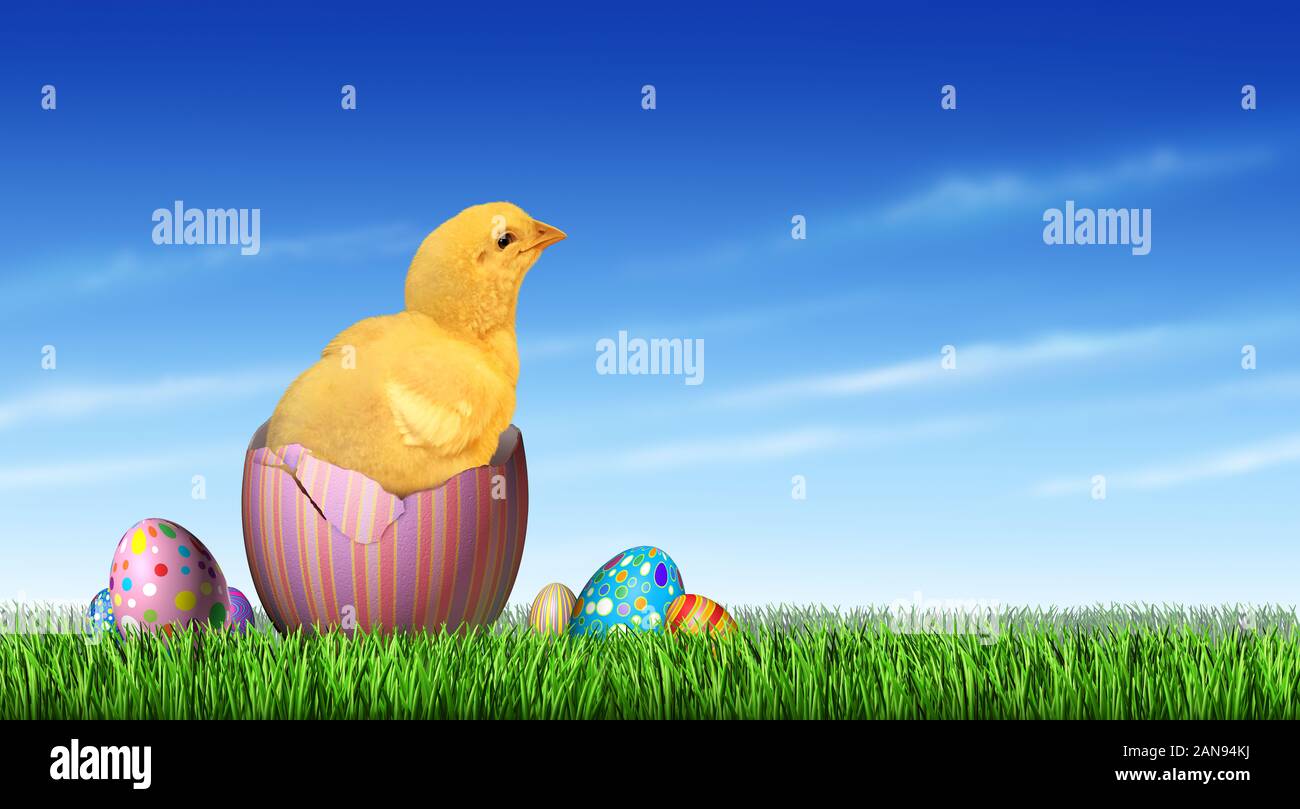 Pollito de Pascua huevo hunt y feliz celebración de vacaciones de primavera con huevos decorados en la hierba como un lindo saliendo de una eclosión de huevos pintados. Foto de stock