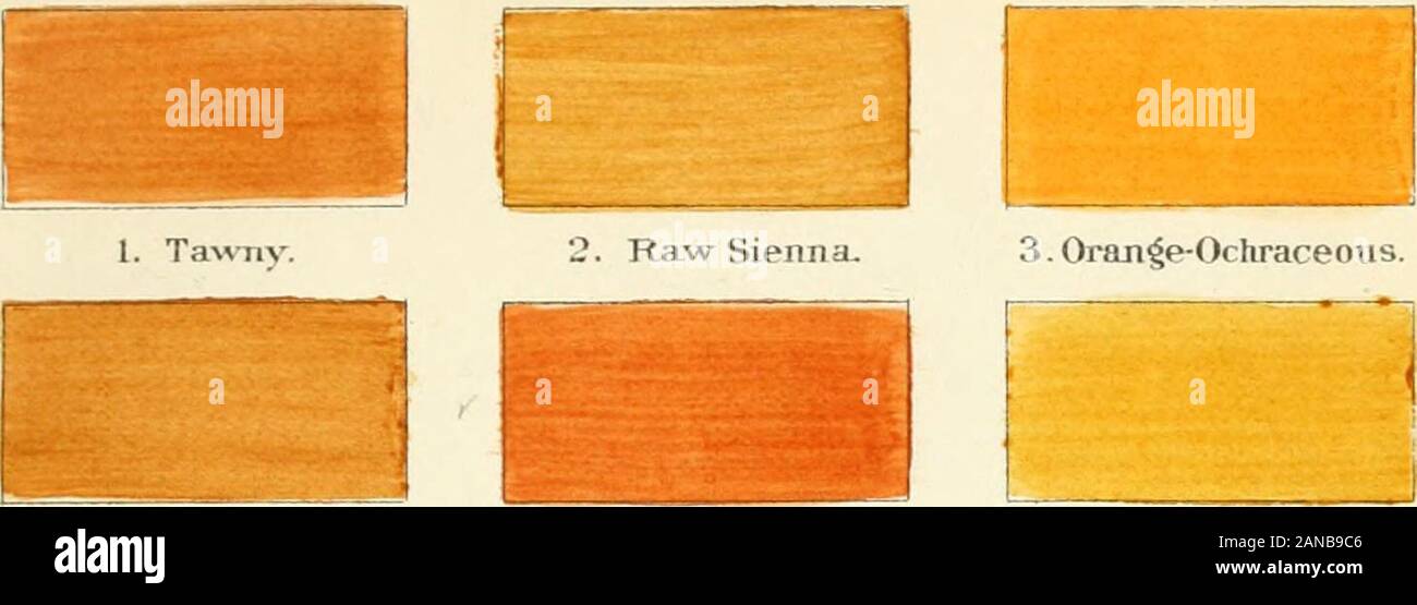 Una nomenclatura de colores para los naturalistas : y compendio de  conocimientos útiles para los ornitólogos. . 19 Salmon-Buff. 20. Buff-Pink.  *L.Vinaceous-Pinl£. Placa V. 9.10.11.12.13.14.15. Compuesto de Tawny ....  Sienna Raw +