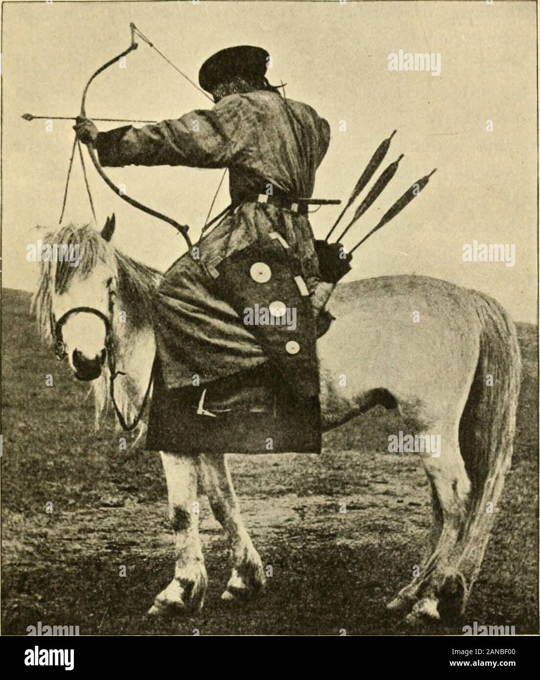 El Origen Y La Influencia De Los Caballos De Pura Raza Ares Es Bebido Por El Y Su Familia Y Por Ninguna Persona Excepto Por Aquellos De Una Gran Tribu Que Havealso