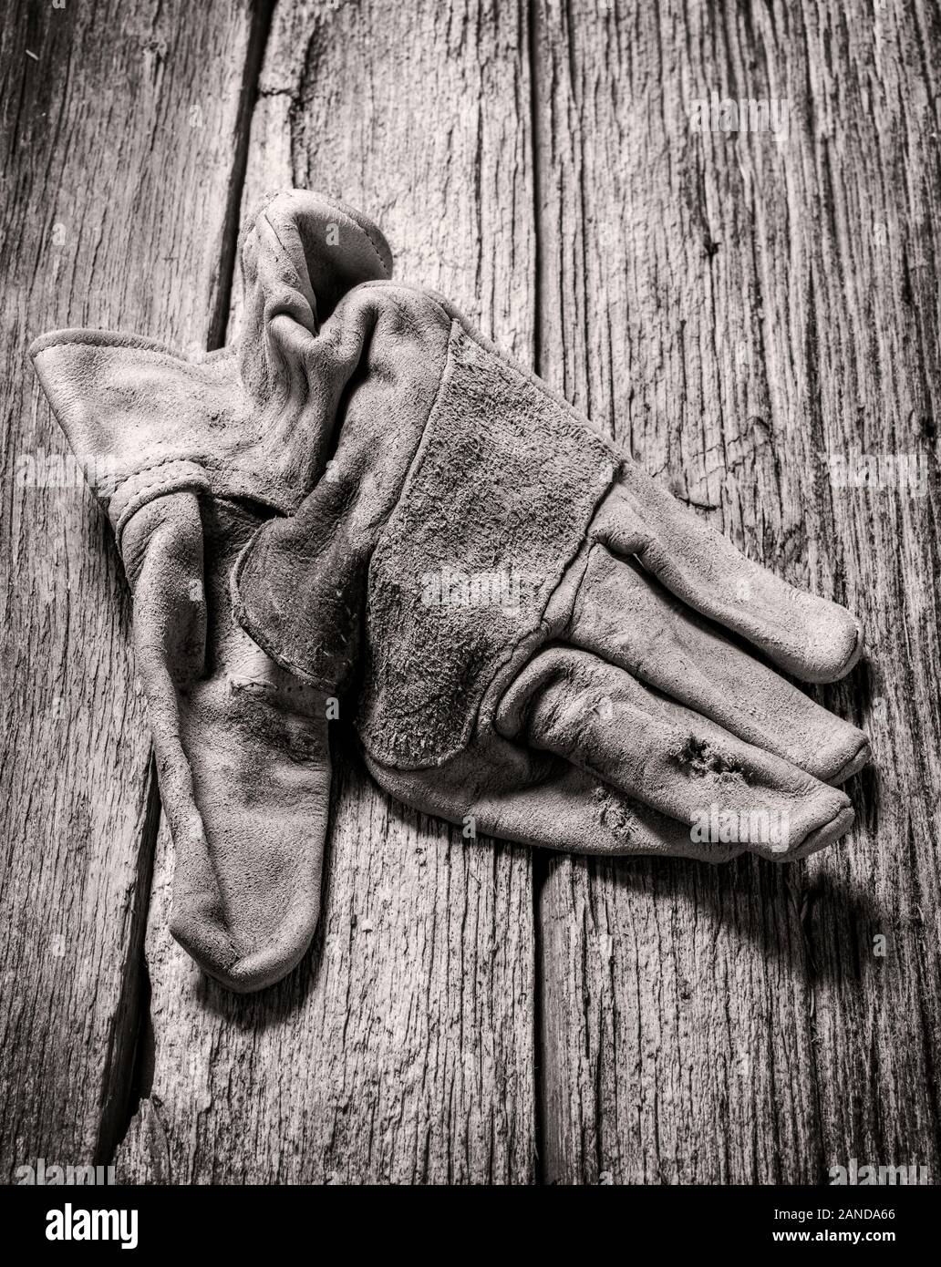 Black & White studio sigue de cerca la vida de los guantes de trabajo de cuero desgastado Foto de stock