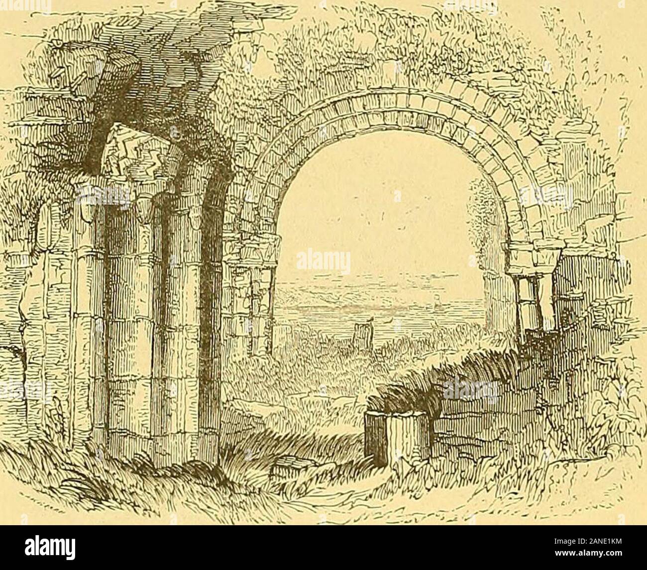 Pintoresca Irlanda una delineación literaria y artística de los