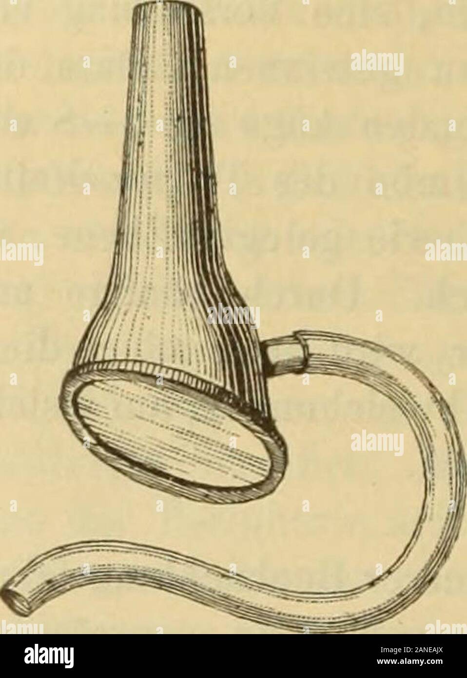 Handbuch der Ohrenheilkunde . pueden ser Liches instrumento,seitlich mit einem zweiten am Tubus angebrachten oculares, welchem durch das Bild einPrisma zugeführt, oder wird von der einfacher weit Grünfeld (22) an-gegebene kleine Planspiegel, welcher mit einer Hülfe Gabel en schrägerStellung zur Trichterachse auf den Rand des Ohrtrichters aufgesetzt wirdund bei genügend intensiver Beleuchtung mit dem Reflector deutlichesumgekehrtes ein Bild des Trommelfelles liefert. Lucae hatte Schon früher(9) darauf aufmerksam gemacht, dass bei der Beleuchtung des-felles Trommel mit Sonnenlicht durch einen durchboh central Foto de stock