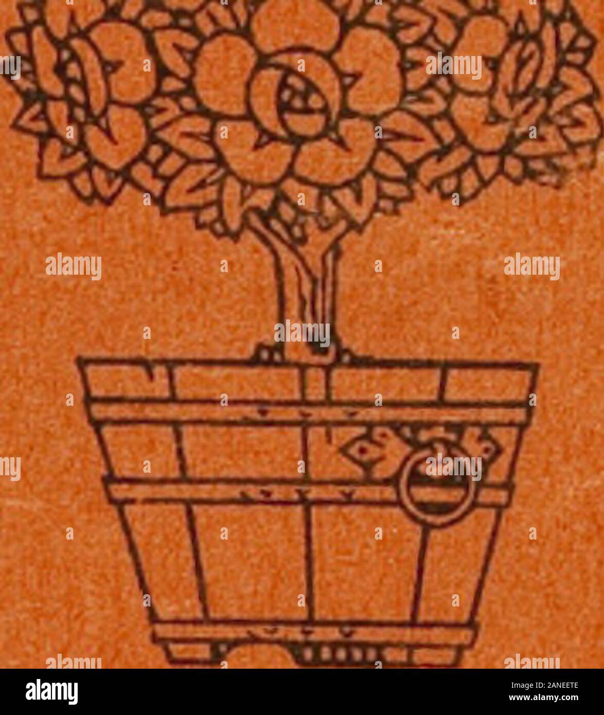 California Garden, VOL6, N10, de abril de 1915 . HOWARD & Smith esquina  StreetsLos Noveno y olivos en Los Ángeles, California Phone Home F 4592  principal Sunset 1745 Los cultivadores de los