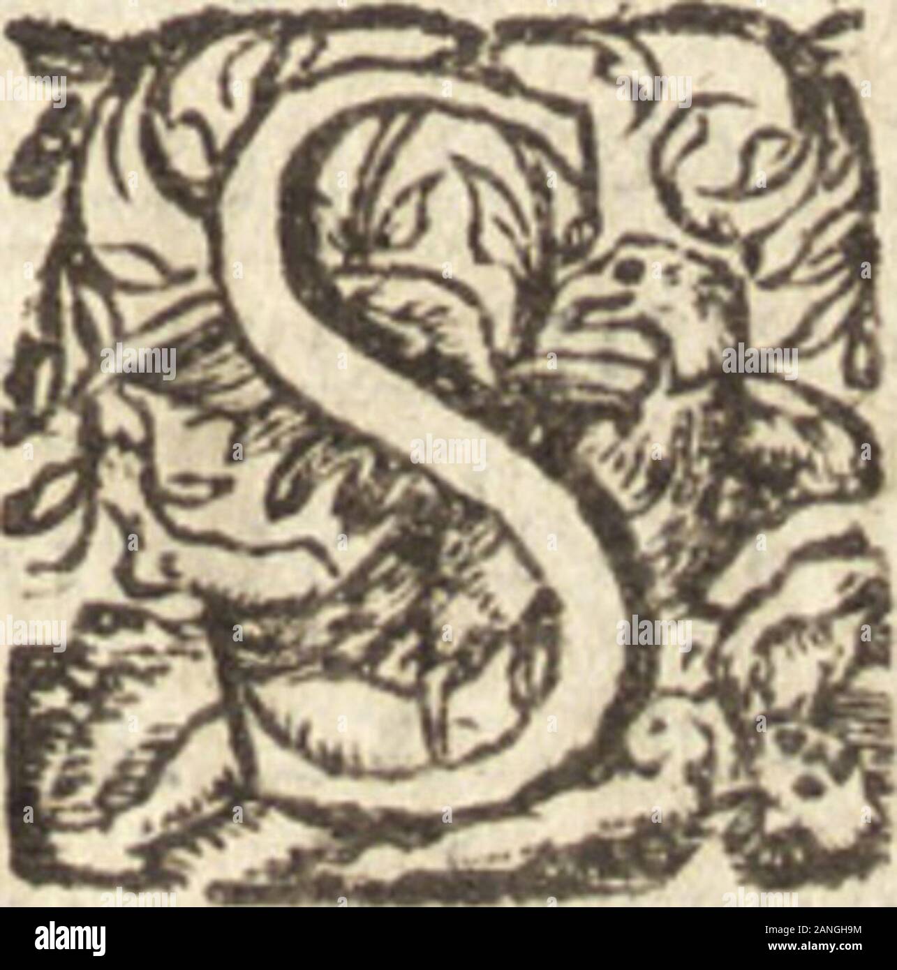 De naturae diuinis characterismis, seu, Raris & admirandis spectaculis, causis, indiciis, proprietatibus rerum en partibus singulis vniuersi, libri II . vnt sites morborum hiftoru qu&damex, genere eorum quos diuinos appellat Hipp. vnkcum Peftis ac Peftxkntium febrium natura& me-thodo curatrtce. 5ILLVSTRISS.PRINCIPI SVMMI ORDINIS AVREIVelleris Equiti, Dn. PhilippoC r s i s Aricoti Duci, Chimaci acPorccani Principi,Bellemontijac Senncghemi Comiti: Auennx,V,Lellerij Vallerij, ,,Sanuenanti Quenocampi Mallanoij, Haloini, Commij,.Baroni ac Domino. C O R N. C E M M A S. D. ME quitquam eft Princeps Foto de stock
