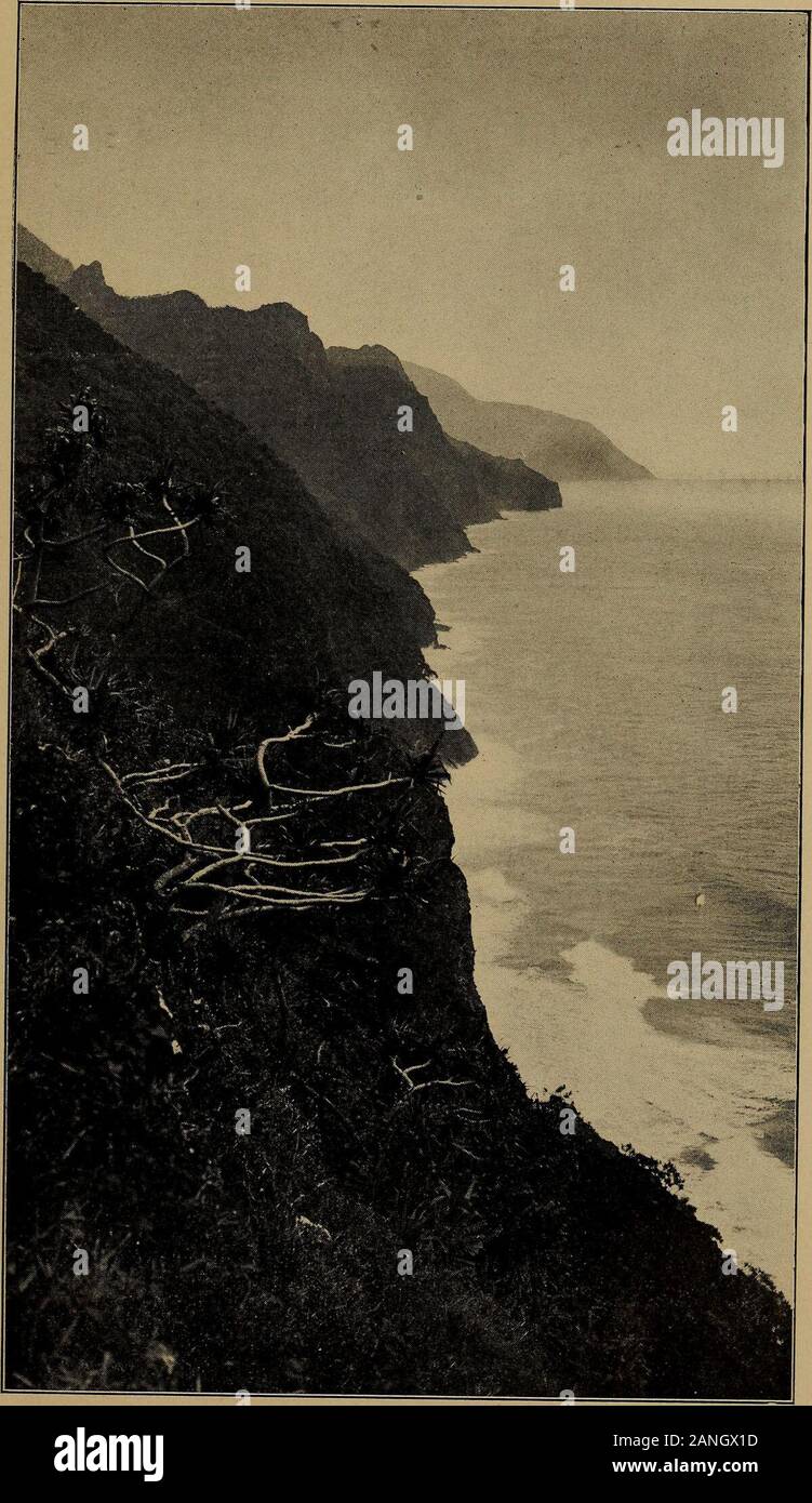 Pele Y Hiiaka Un Mito Desde Hawai G Cuerpos Celestiales Las Nociones Thatprevail Como Su Significado Exacto En Este Lugar Son Vagos C Kupukupu Un Deity Benevolo Que Curo