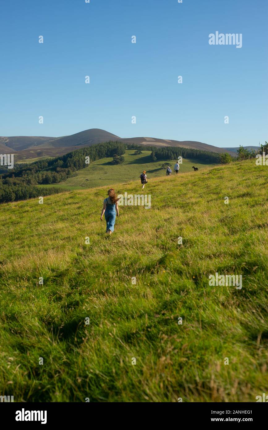 Paseo en familia a su perro en las colinas de la frontera escocesa en un día soleado Foto de stock