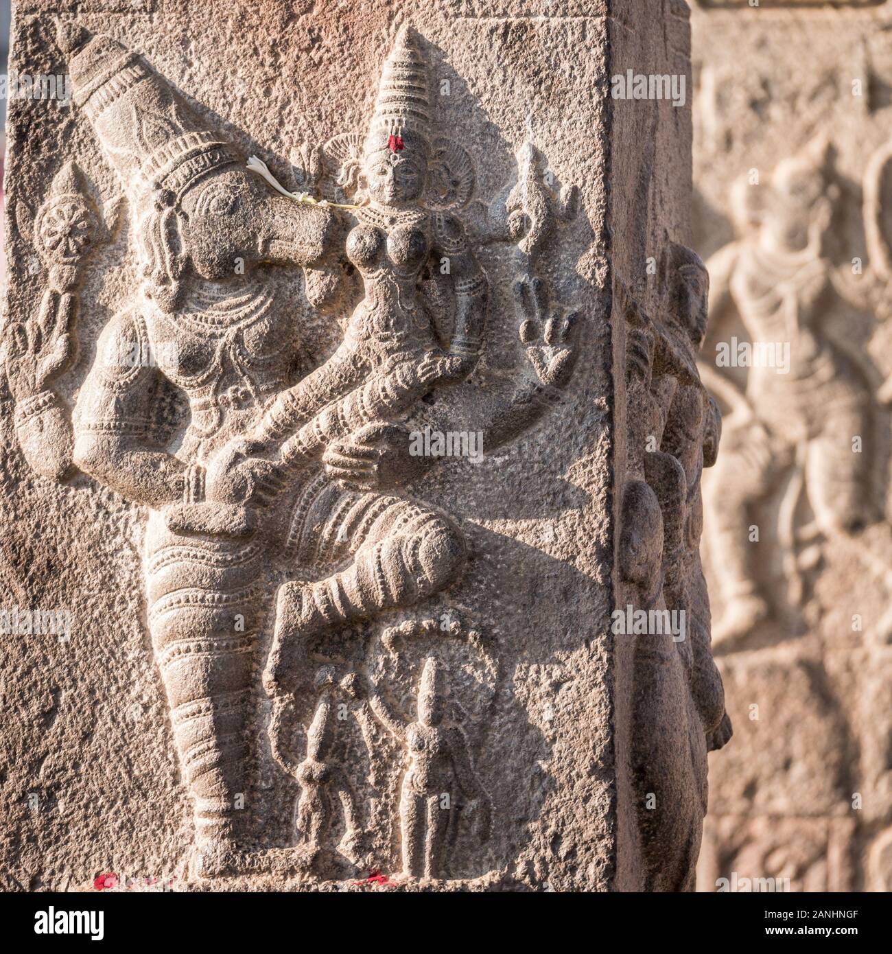 Tallas Del Templo Indio. Detalle de las tallas encontradas en el antiguo Templo de Perumal de Nithyakalyana en Thiruvidanthai, India. Foto de stock