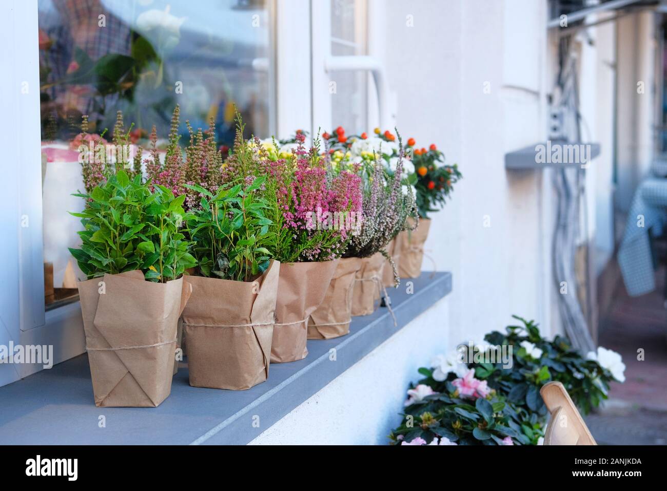 Escaparate de tienda de flores en una calle de la ciudad. Picante decorativas macetas con plantas están a la venta. Las pequeñas empresas. Entrega de flores. Foto de stock