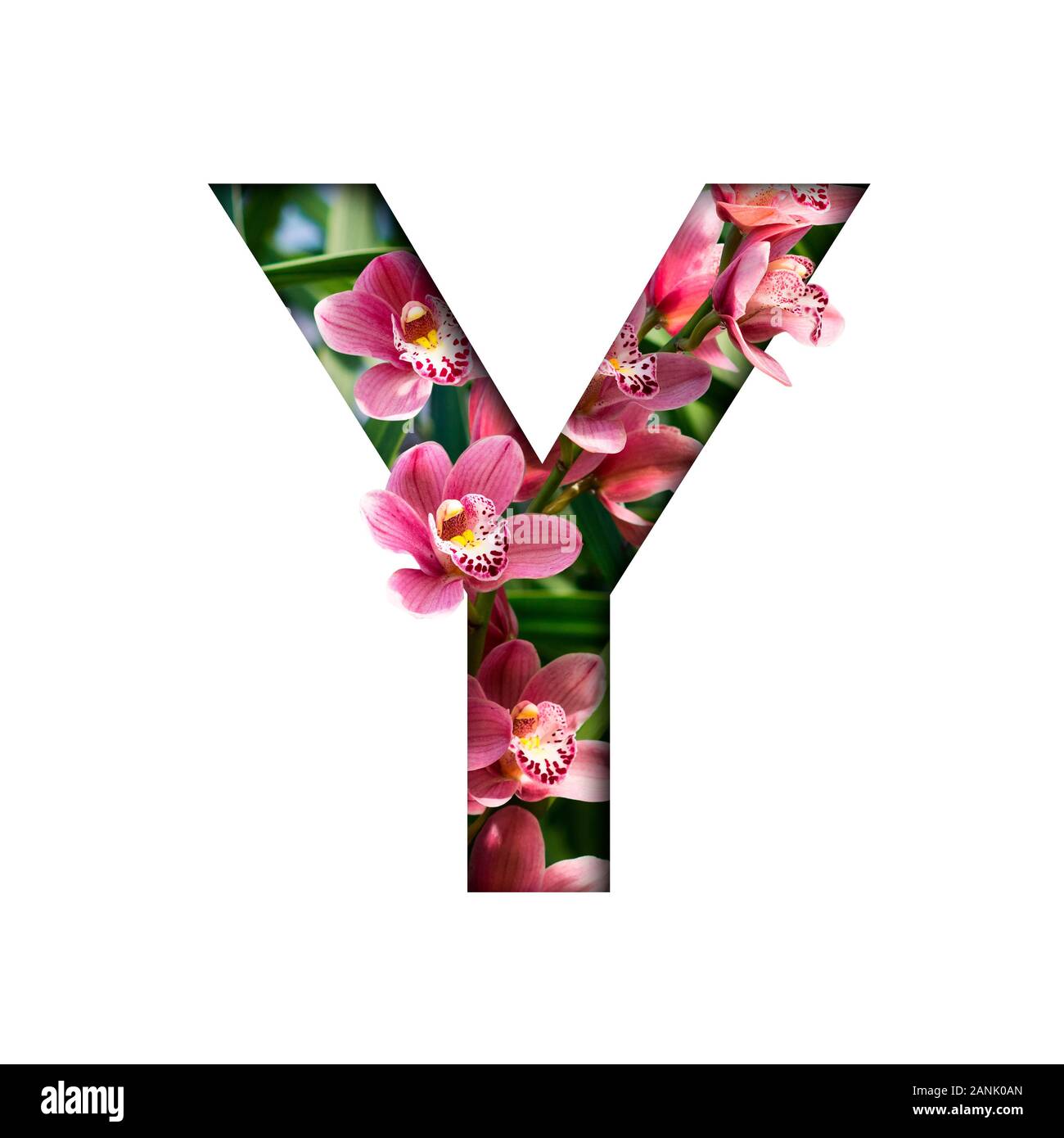 Fuente de flores. Letra y hechas de flores naturales. Composición de