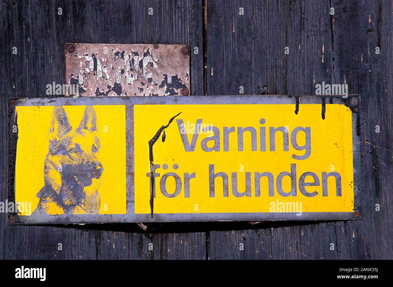 Advertencia signo perro, Suecia, Escandinavia, Europa Foto de stock