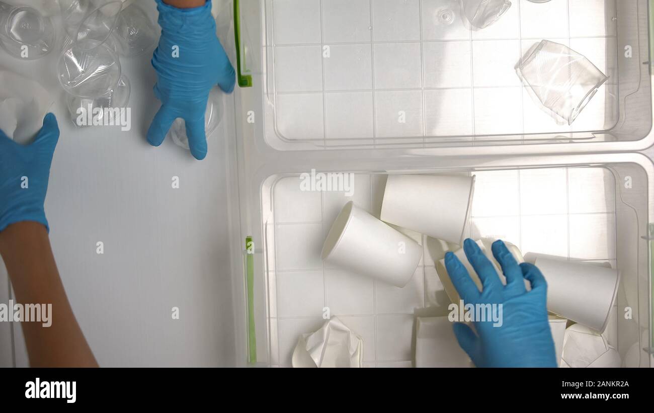 Los trabajadores en guantes ordenar los vasos desechables de cartón y papel  reciclado en línea Fotografía de stock - Alamy