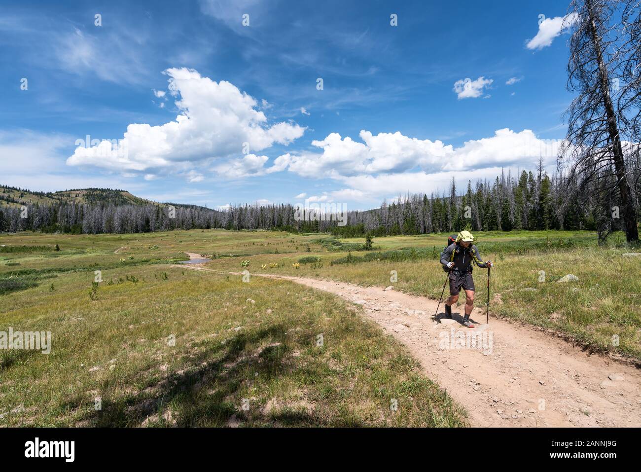 Senderismo en el Continental Divide Trail, Colorado, EE.UU. Foto de stock