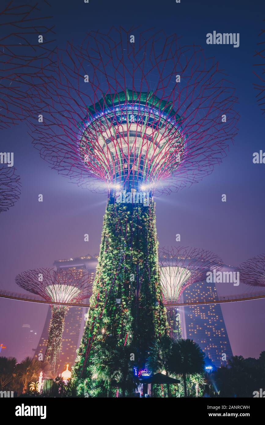 Supertrees con el Marina Bay Sands Hotel, en el fondo, en Singapur. Foto de stock