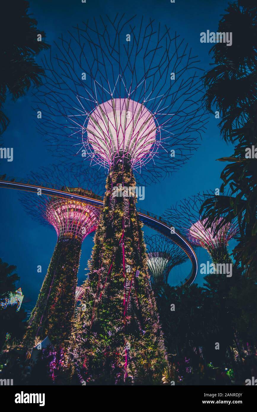 El super árboles en los jardines junto a la bahía de atracción en Singapur Foto de stock