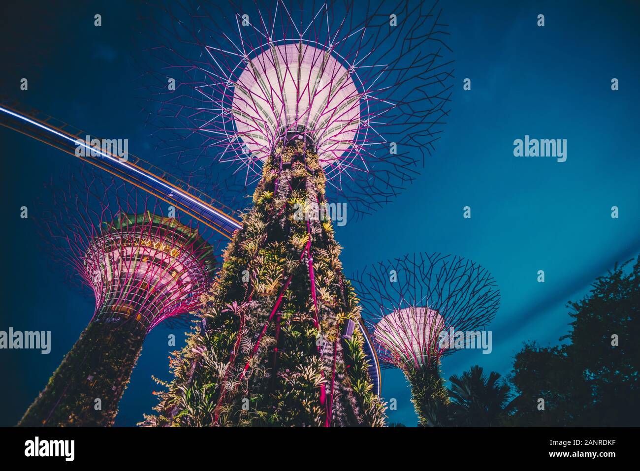 El super árboles en los jardines junto a la bahía de atracción en Singapur Foto de stock