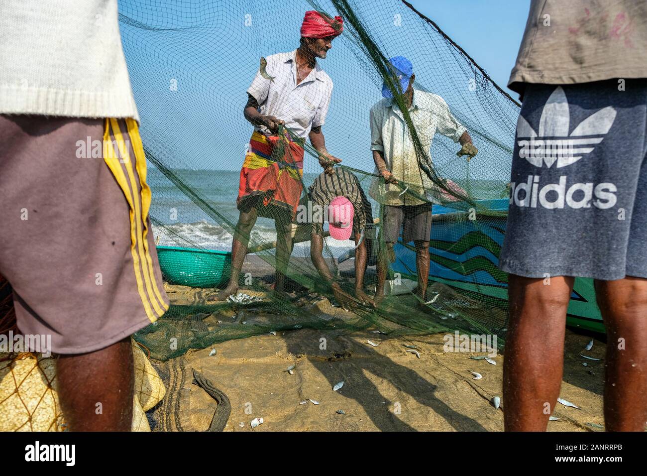 Negombo, Sri Lanka - enero de 2020: Los pescadores recogen pescado de sus redes de pesca después de una noche de pesca el 12 de enero de 2020 en Negombo, Sri Lanka. Foto de stock