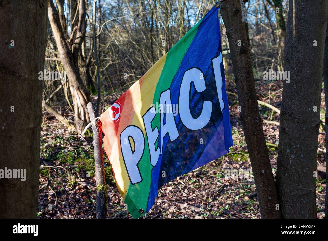 Wendover, Buckinghamshire, Reino Unido.El 18 de enero de 2020. Decididos activistas opuestos a HS2 establecido recientemente la resistencia activa Wendover campamento en el bosque al sur de Wendover adyacente a la A413. El campamento está en la ruta del proyecto HS2 línea de ferrocarril donde cruzaría el A413. El Campamento de la resistencia activa Wendover tiene intención de ocupar su sitio en la medida de lo posible, oponerse a la construcción de la línea ferroviaria de HS2. La bandera de la paz dentro del campamento. Crédito: Stephen Bell/Alamy Foto de stock