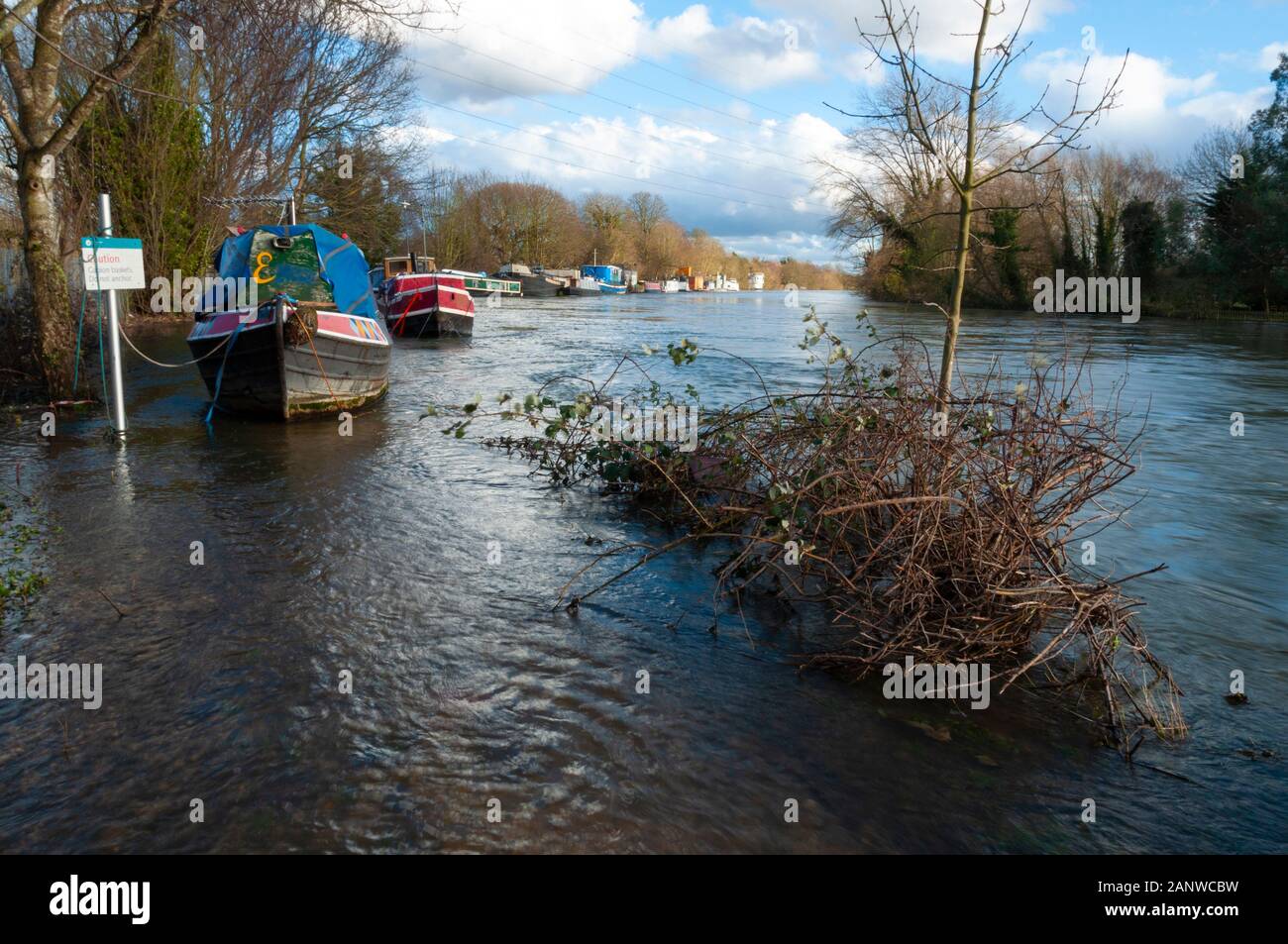 CHERTSEY, Reino Unido - 20 Feb 2014 - después de las graves inundaciones del río Támesis burst es bancos en la parte superior alcanza cerca de Chertsey Surrey, Inglaterra Foto de stock