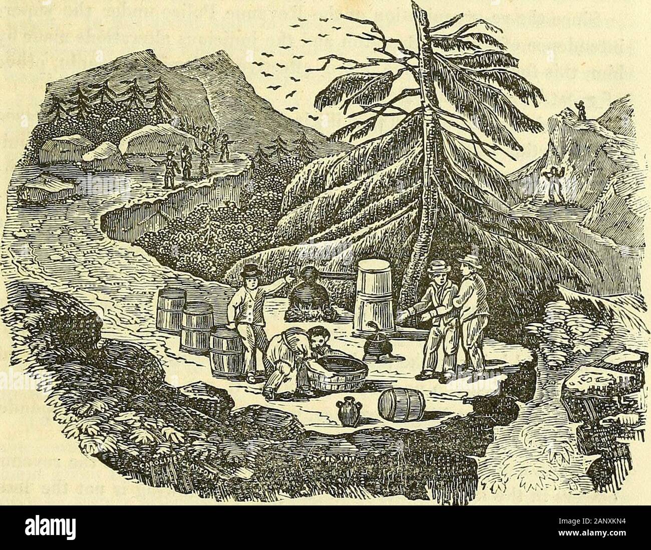 Una historia filosófica y estadística de las invenciones y customes de antiguas y modernas unidas en la fabricación y el uso de licores inebriating; con la práctica actual de la destilación, en todas sus variedades: junto con una amplia ilustración de los efectos y el consumo de opio y otros estimulantes utilizados en el medio, como sustitutos de los vinos y las bebidas espirituosas Foto de stock