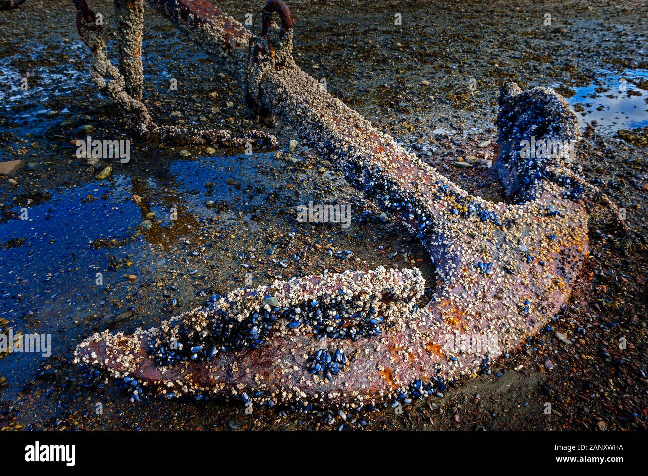 Oxidado viejo ancla ancla en el cementerio en Jamestown Bay en marea baja cerca de Sitka, Alaska, EE.UU. Foto de stock
