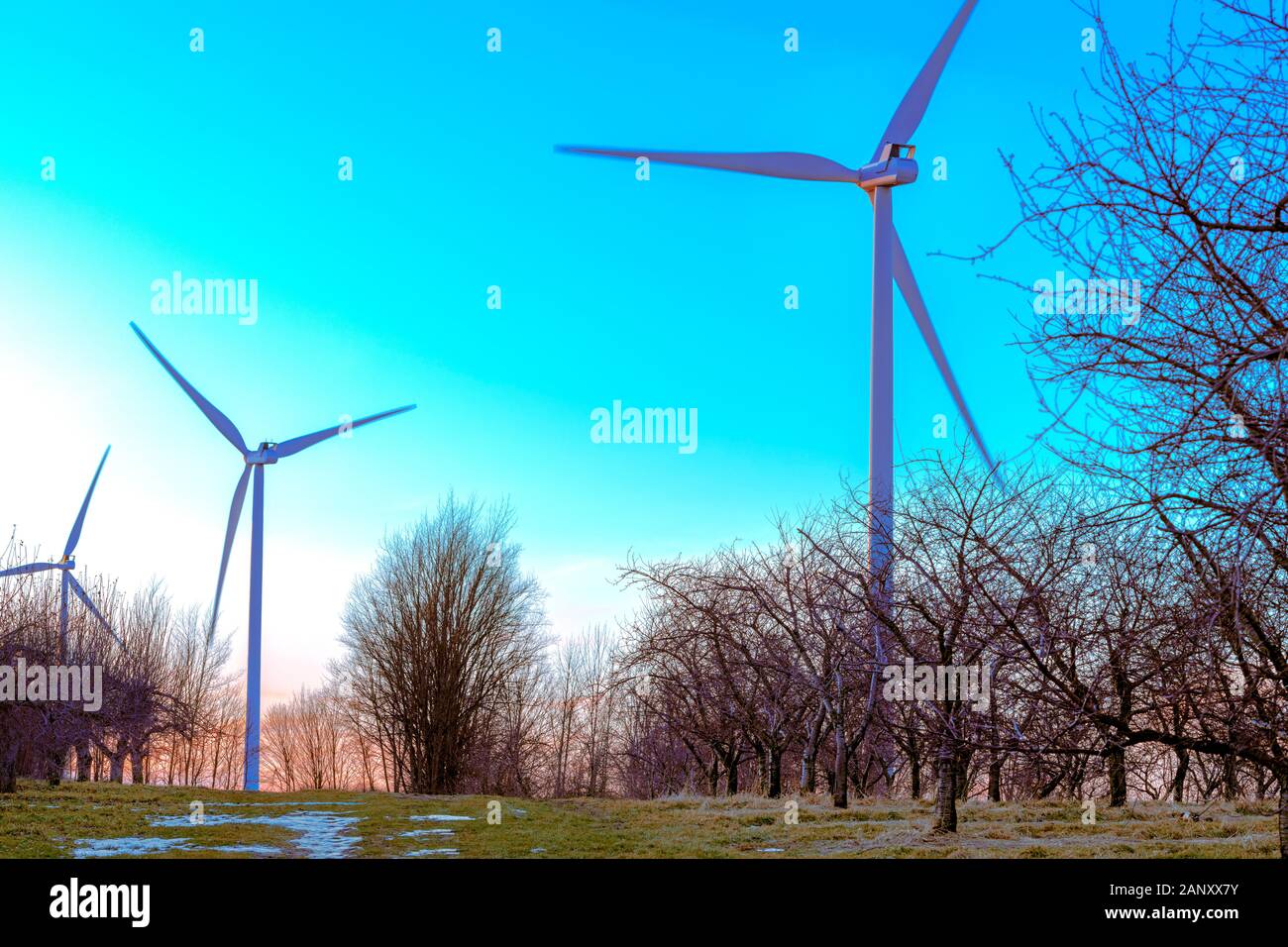 Las turbinas eólicas a lo largo de Orchard en el condado de Mason cerca Ludington, Michigan, EE.UU. Foto de stock