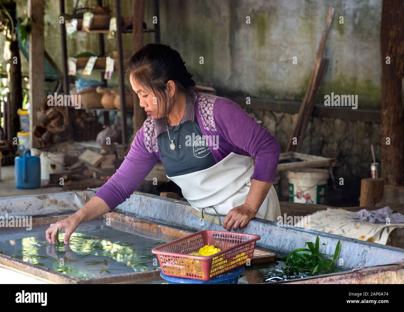 Decoraciones florales insertados durante el tradicional papel de morera, prohibición Xangkong, Laos Foto de stock