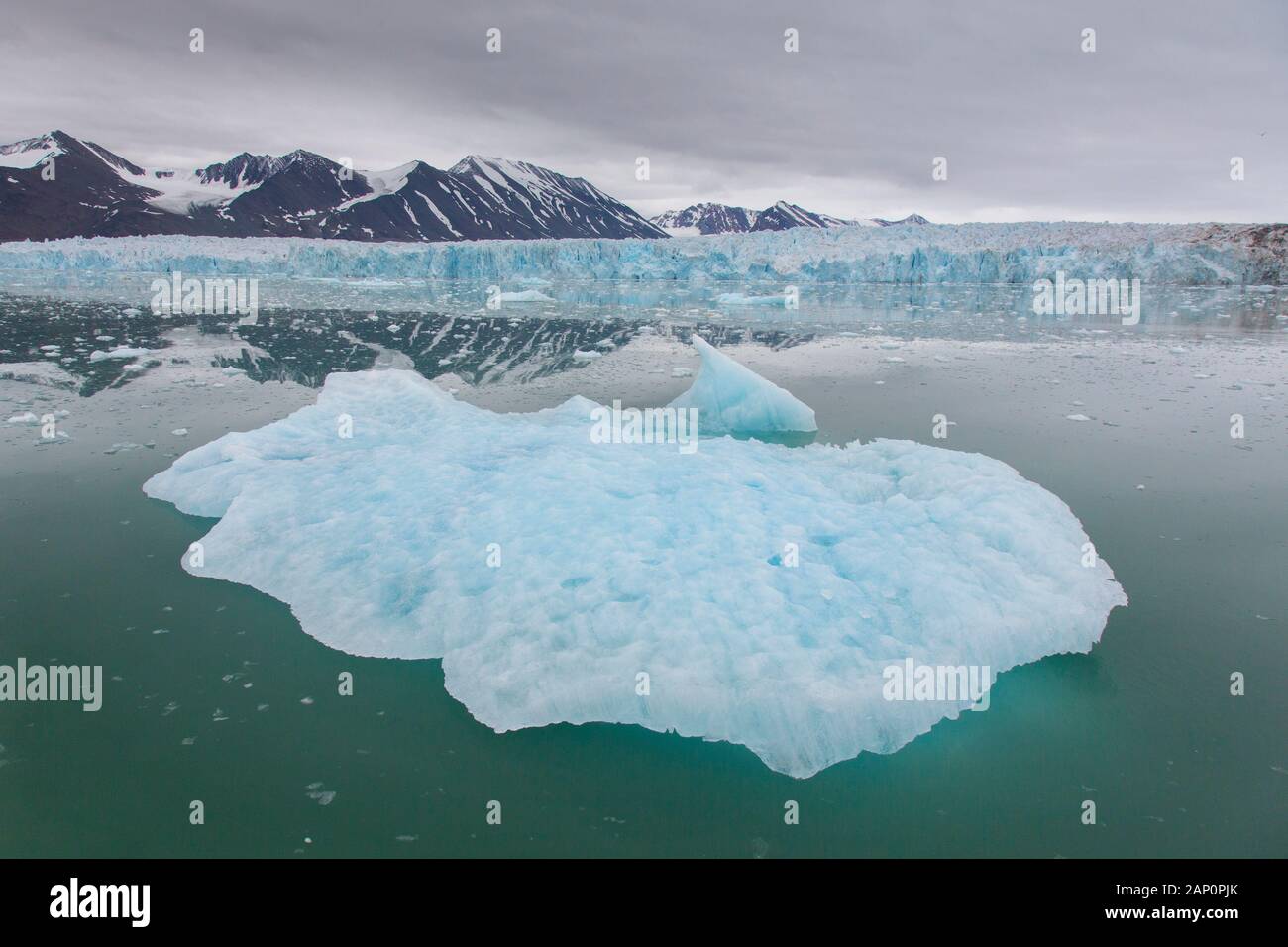 El hielo flota en Liefdefjord. Svalbard Foto de stock