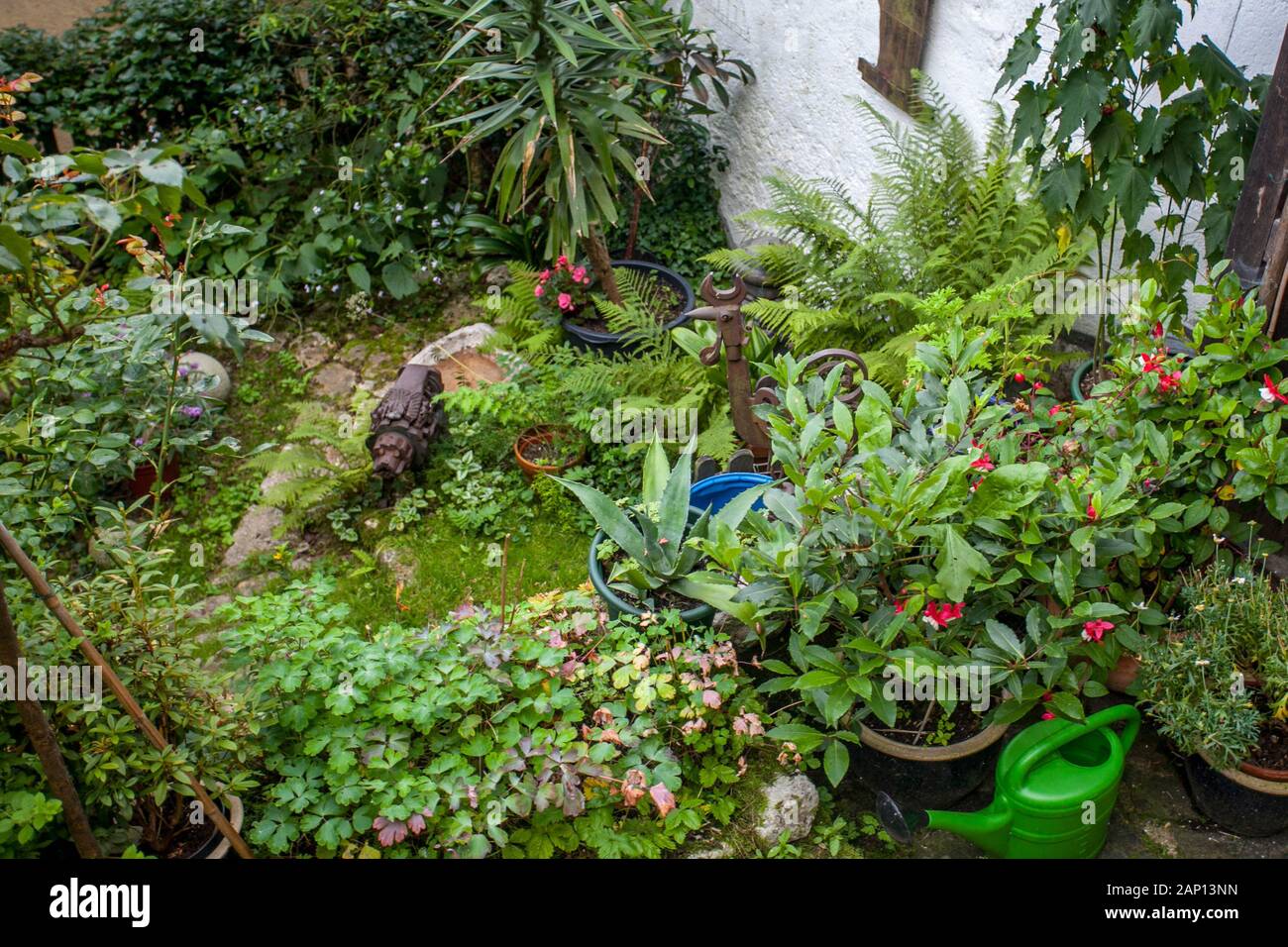 Hermoso y exuberante jardín en flor, vista desde arriba. Foto de stock