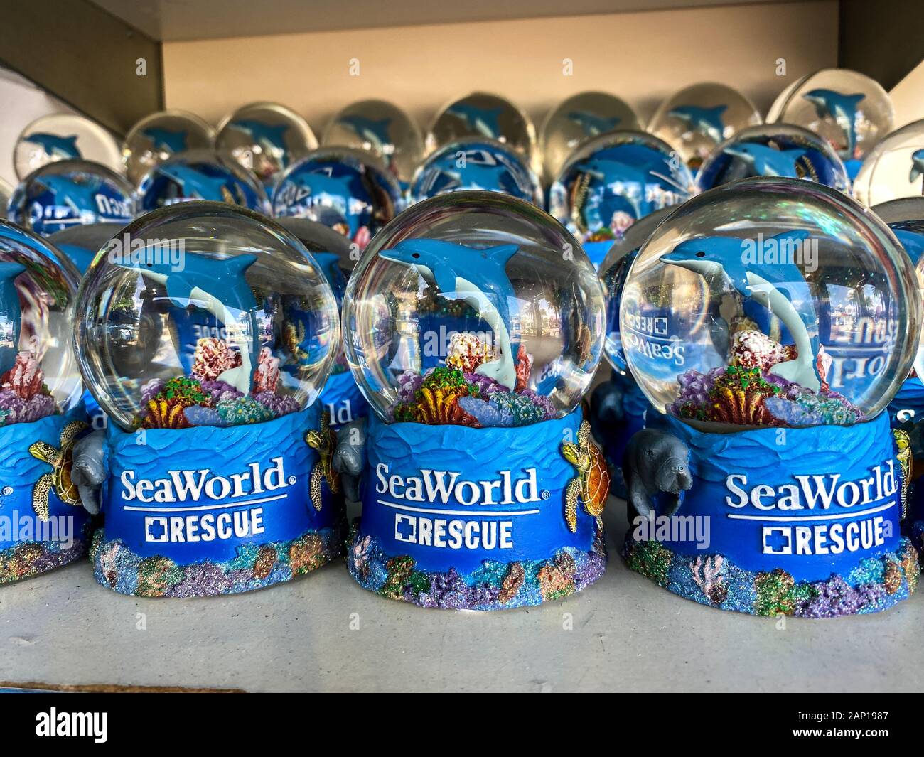 Orlando,FL/USA1/17/20 un estante de Manatí, delfines y tortugas