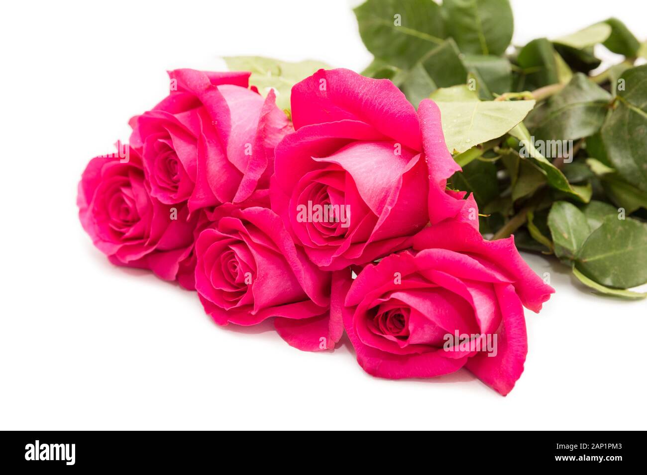 Ramo de 5 rosas rosas aislado sobre un fondo blanco. Foto de stock