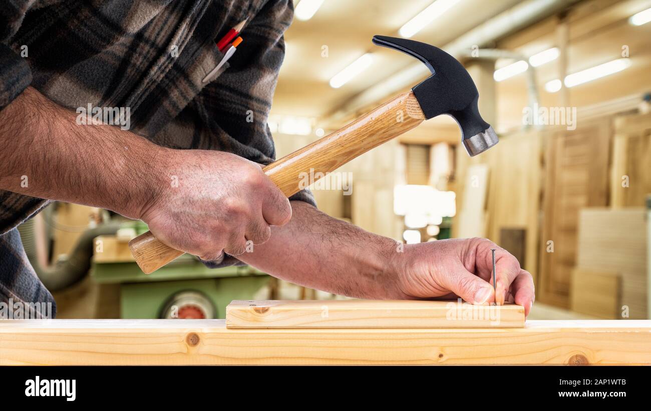 Close-up. Con clavos y martillo carpintero fija una tabla de madera. La  industria de la construcción, un taller de carpintería Fotografía de stock  - Alamy