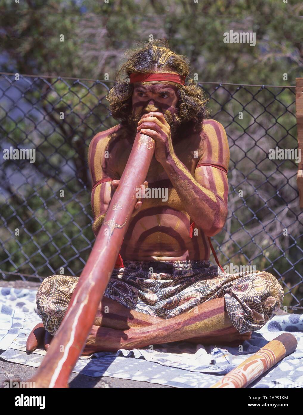 Macho aborigen tocando el didgeridoo, las Montañas Azules, Nueva Gales del Sur, Australia Foto de stock