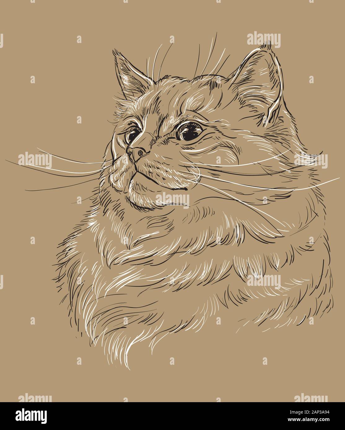 Gato Dibujo A Lapiz Fotos E Imagenes De Stock Pagina 5 Alamy