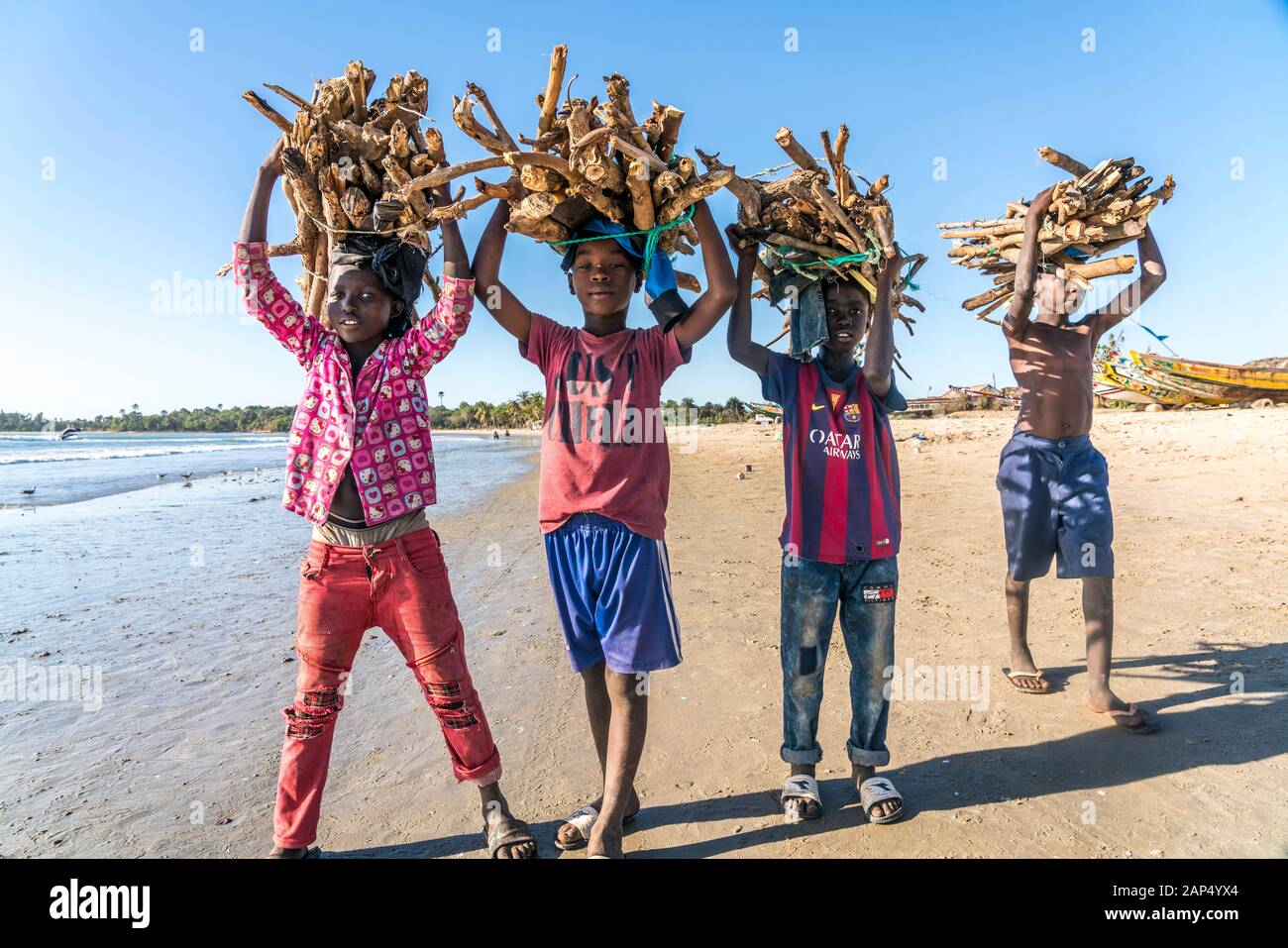 Kinder am Strand tragen Brennholz Bündel auf dem Kopf, Sanyang, Gambia, Westafrika | niños en la playa llevando los manojos de leña sobre sus él Foto de stock