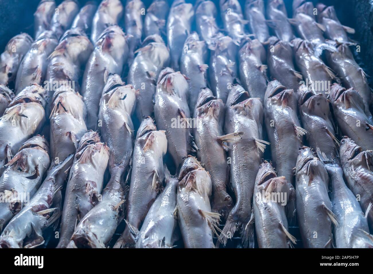 Fische über dem Feuer zum räuchern, Sanyang, Gambia, Westafrika | pescado ahumado, Sanyang, Gambia, África occidental, Foto de stock
