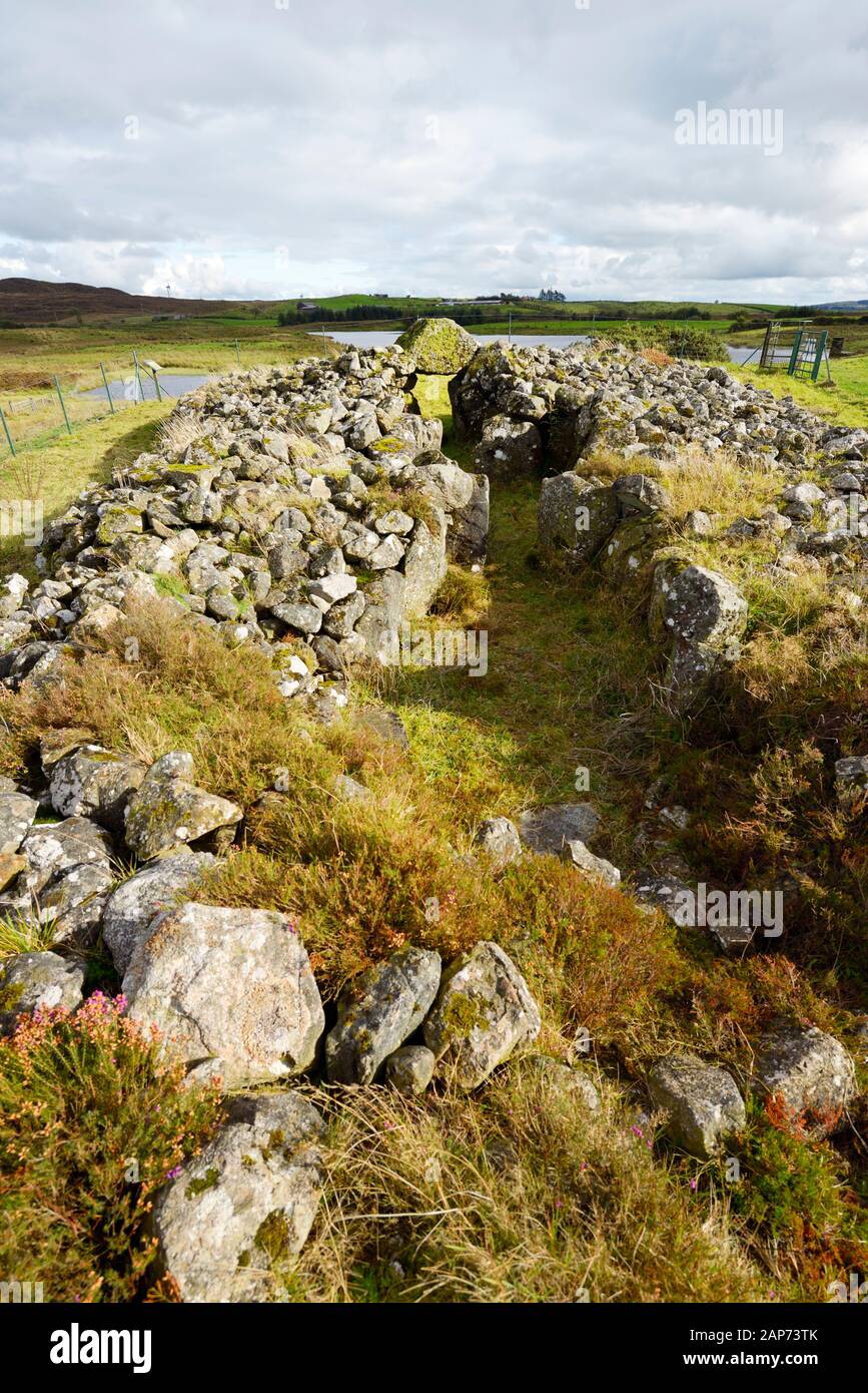 Creggandevesky Court Tomb Neolithic Site, Co. Tyrone, N. Irlanda. S.E. más de 3 cámaras de entierro al portal de dintel a la corte. Alrededor de 5700 años Foto de stock