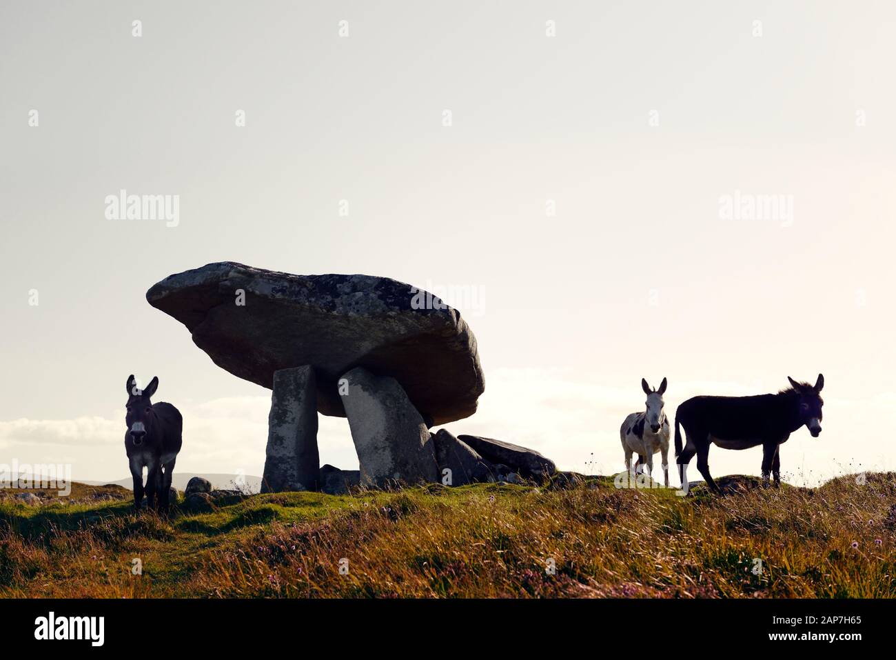 Portal megalítico prehistórico Kilclooney tumba tumba aka Kilclooney dolmen. Ardara, Donegal, Irlanda. Los burros junto a enormes capstone entrada Foto de stock